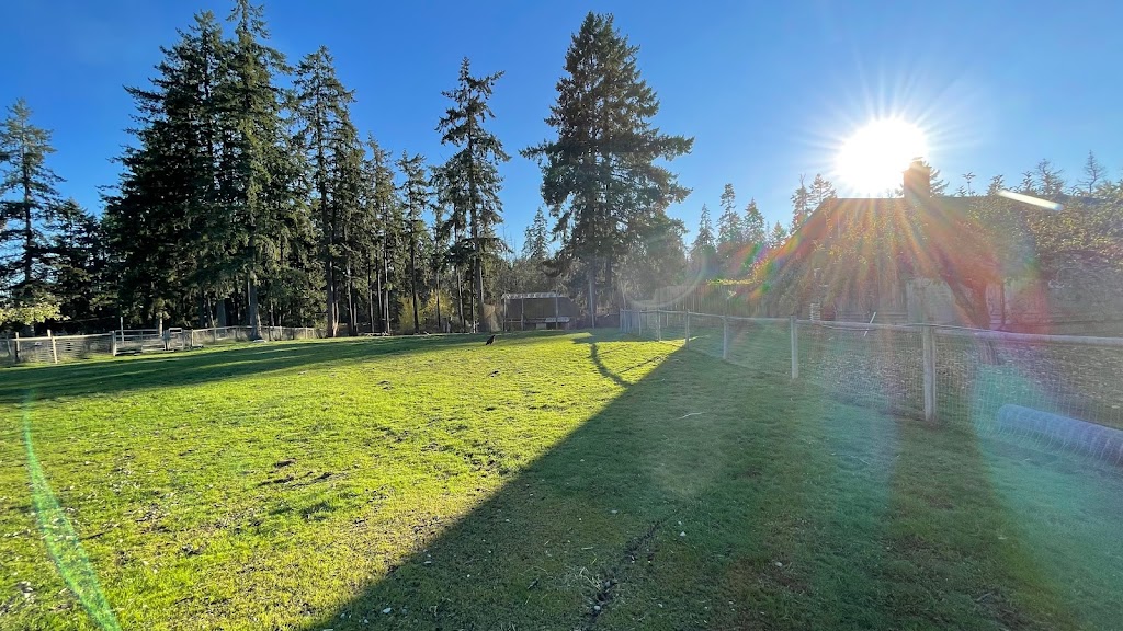 Red Bell Farm | 3574 Cowichan Lake Rd, Duncan, BC V9L 6K5, Canada | Phone: (604) 845-0685