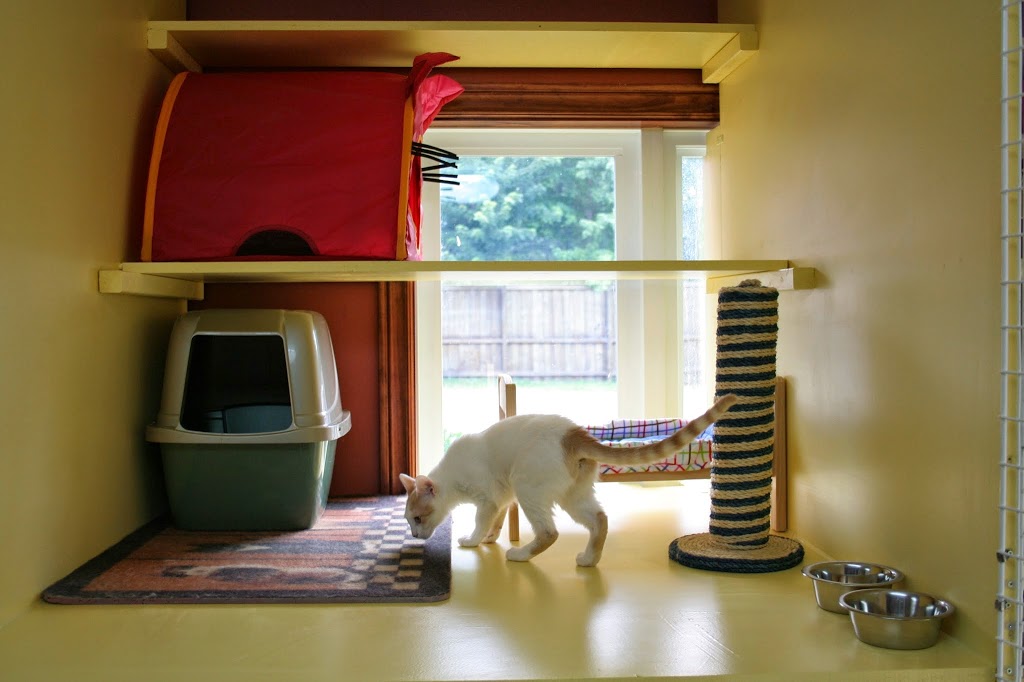 Cats Castle Cat Hotel | 1354 Bronte Rd, Oakville, ON L6M 4G4, Canada | Phone: (905) 847-7770