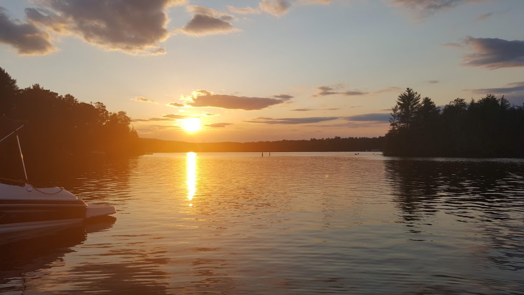 Baysville Marina | 10 E Rd, Baysville, ON P0B 1A0, Canada | Phone: (705) 767-3323