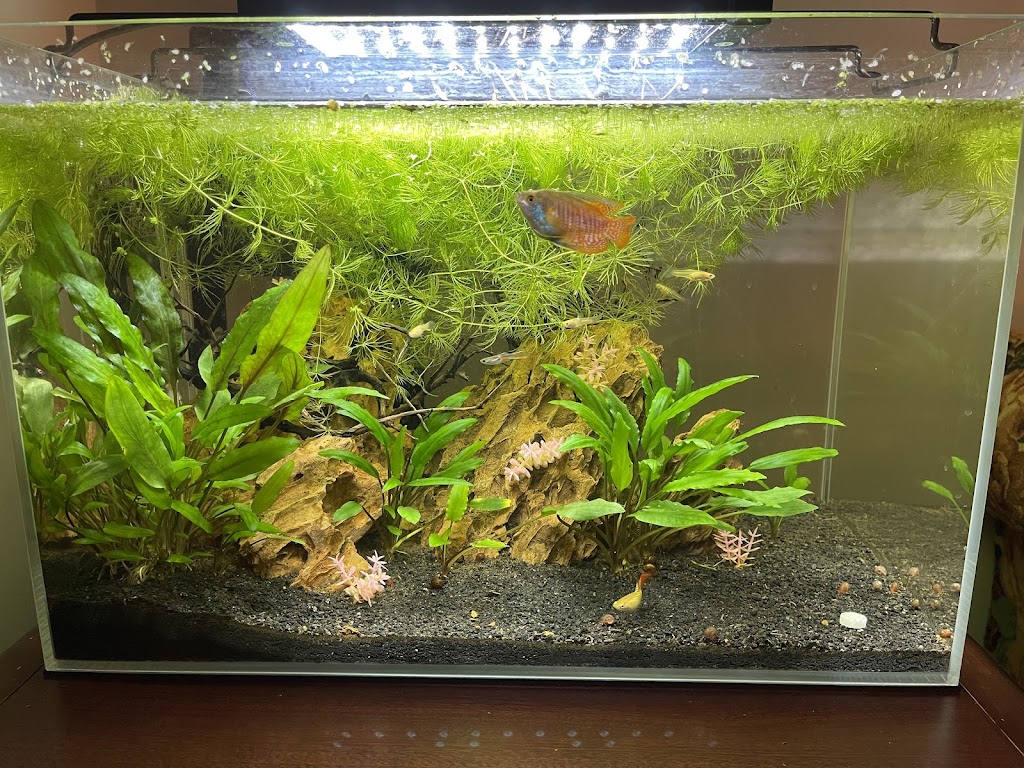 AquariumProducts.ca | 850 Tapscott Rd Unit 8, Scarborough, ON M1X 1N4, Canada | Phone: (647) 829-8245