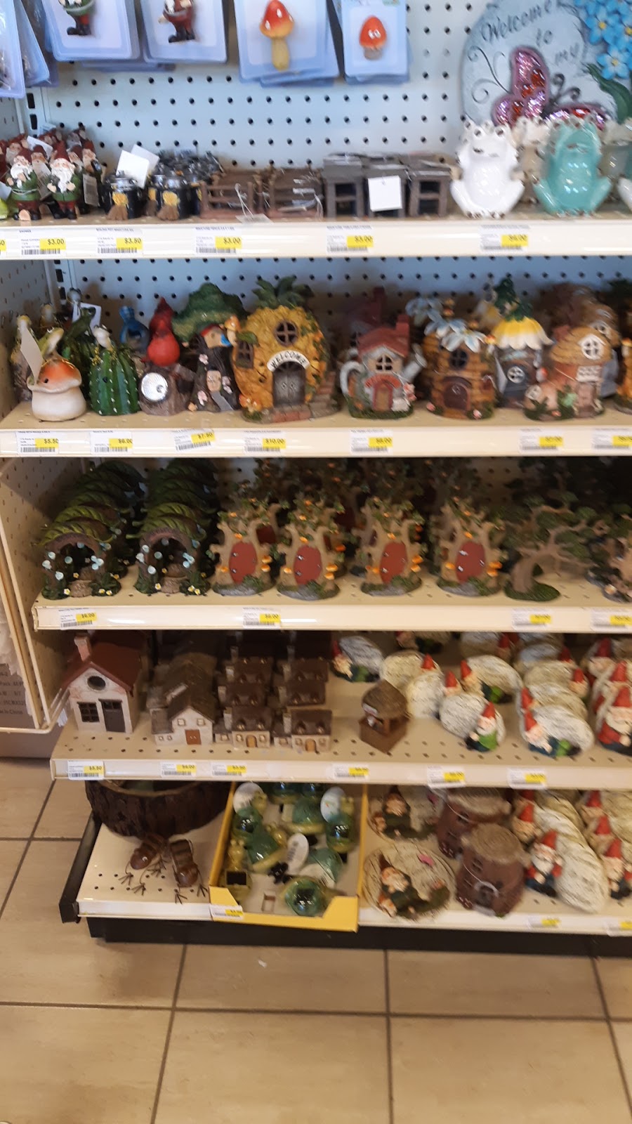 Your Dollar Store With More | 13715 42 St NW, Edmonton, AB T5Y 3E1, Canada | Phone: (587) 497-9924