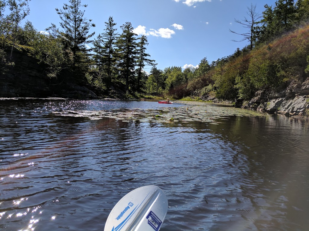Flat Rock State Forest | 4083 Military Turnpike, Altona, NY 12910, USA