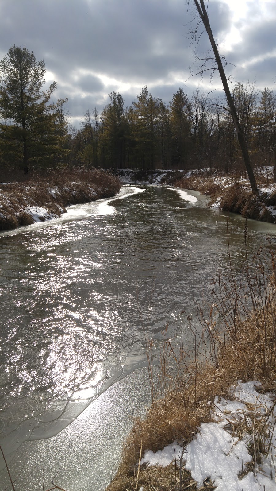 Boyd Conservation Park | 8739 Islington Ave, Woodbridge, ON L4L 1A6, Canada | Phone: (416) 661-6600