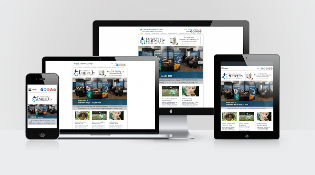 Akira Studio Ltd Website Design | 74462 Woodland Dr, Bayfield, ON N0M 1G0, Canada | Phone: (226) 377-4560