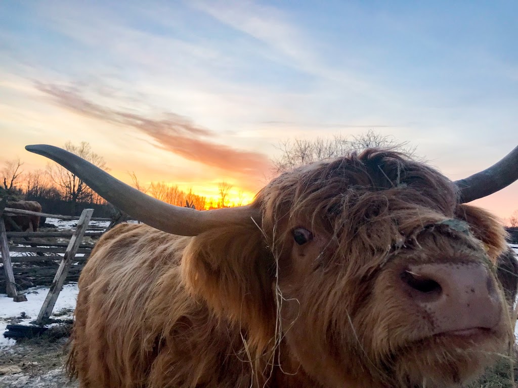 Flycreek Farm | 9887 Flycreek Rd, North Augusta, ON K0G 1R0, Canada | Phone: (613) 246-1884