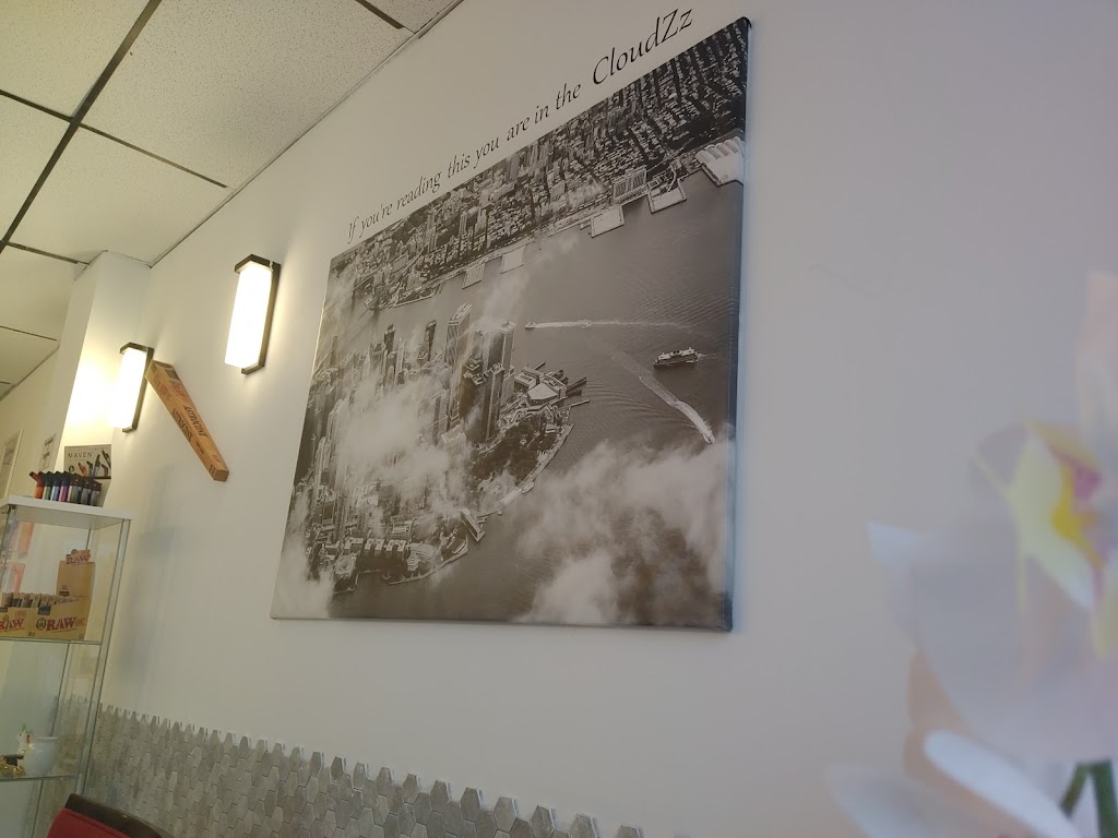 CloudZz Vape | 476 Upper Wellington St, Hamilton, ON L9A 3P4, Canada | Phone: (289) 253-8747