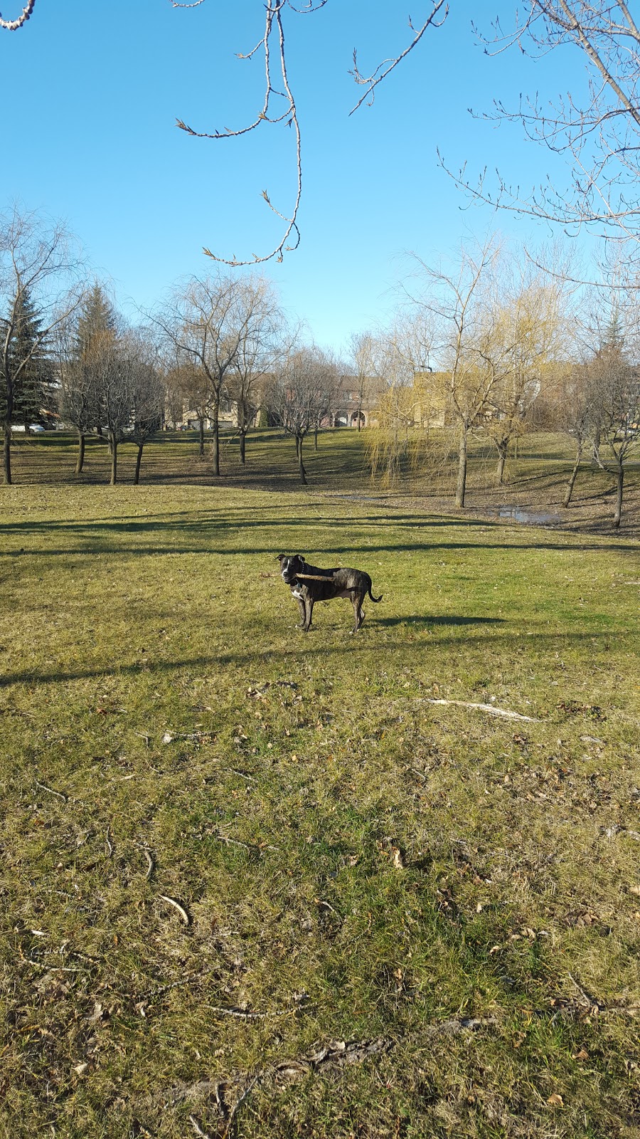 Parc Félix-Leclerc | Lasalle, Montreal, QC H8N 2T9, Canada