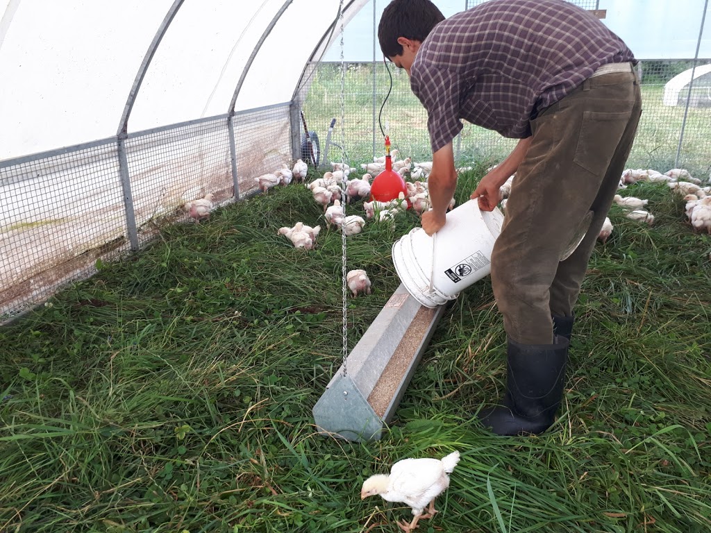 Bountywoods Farm | 4876 Brooklyn St, Somerset, NS B0P 1E0, Canada | Phone: (902) 538-4318