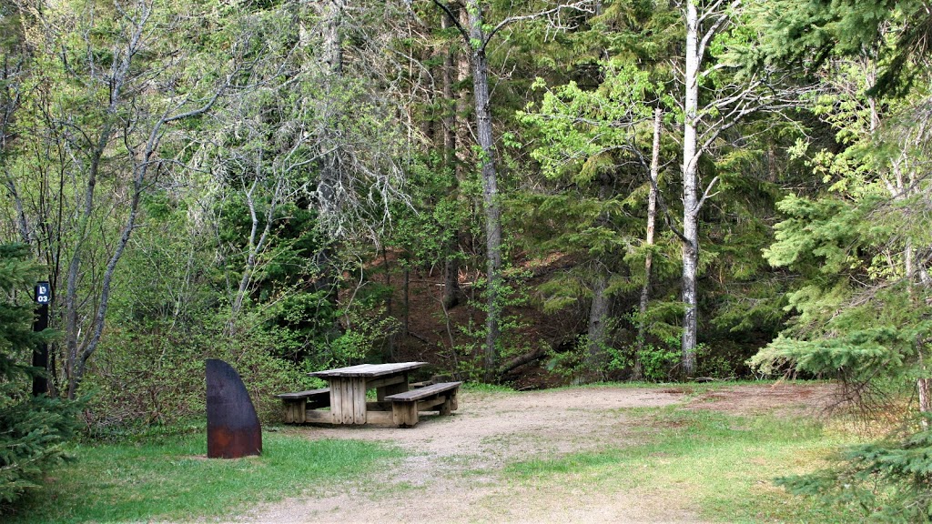 Camping Mont-Sainte-Anne | 300 Rang Saint Julien, Saint-Ferréol-les-Neiges, QC G0A 3R0, Canada | Phone: (418) 826-2323