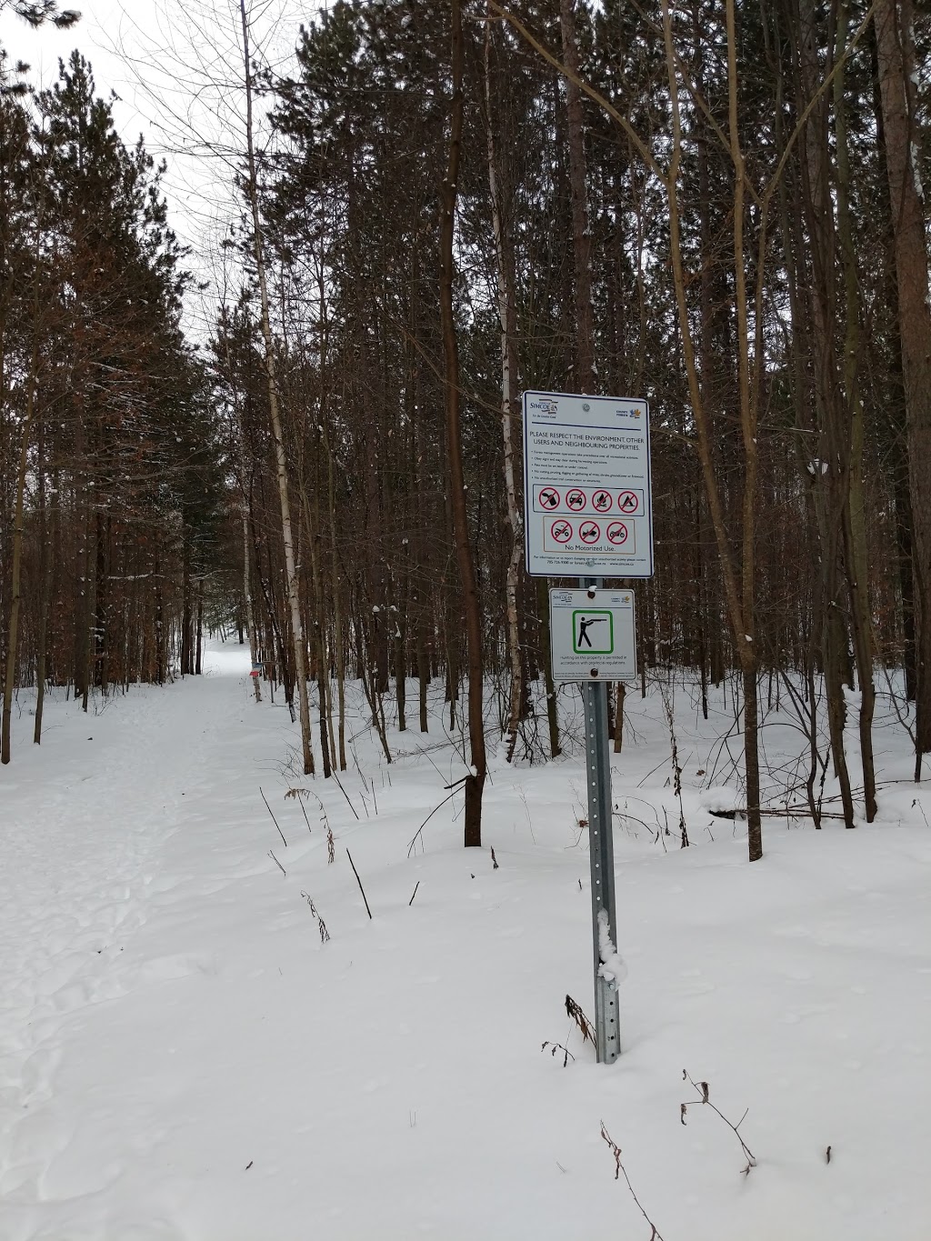 Hickling Recreational Trail | 1177 Snow Valley Rd, Minesing, ON L0L 1Y3, Canada