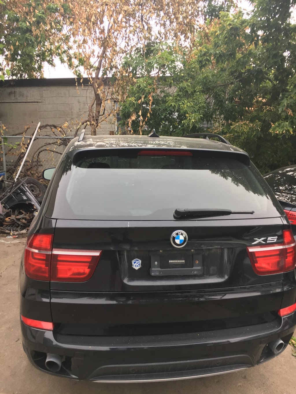 Gala Motors | 379 Munster Ave, Etobicoke, ON M8Z 3C8, Canada | Phone: (416) 233-6700