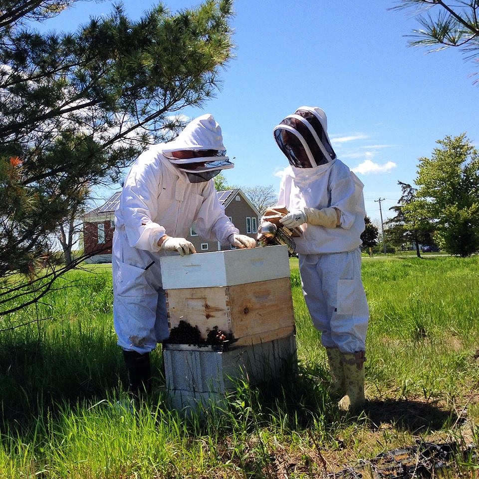 Niagara Honey | 5002 Garner Rd, Niagara Falls, ON L2E 6S4, Canada | Phone: (905) 650-5981