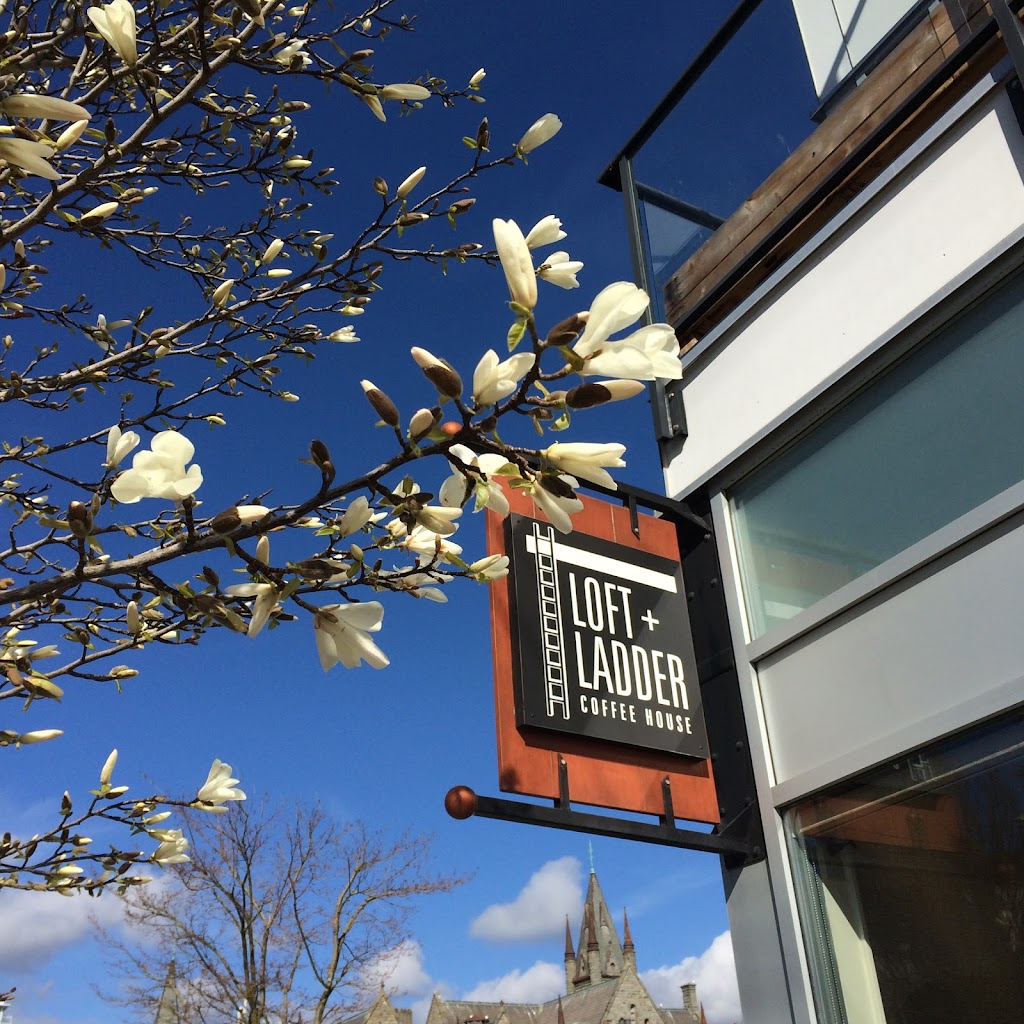 Loft and Ladder Coffee House | 101-932 Johnson St, Victoria, BC V8V 3N4, Canada | Phone: (250) 361-3996