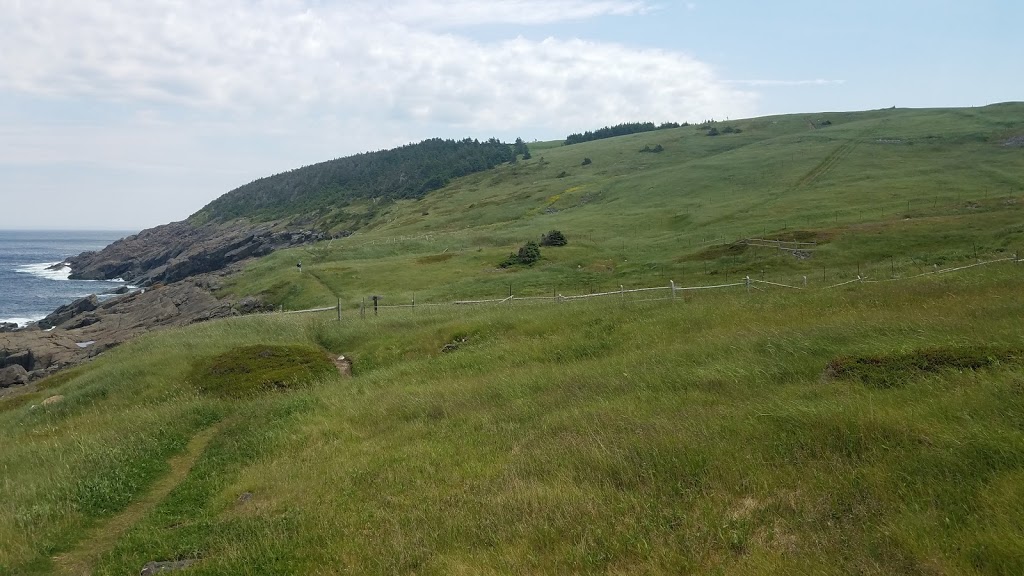 Pouch Cove Po | 622 Main Rd, Pouch Cove, NL A0A 3L0, Canada