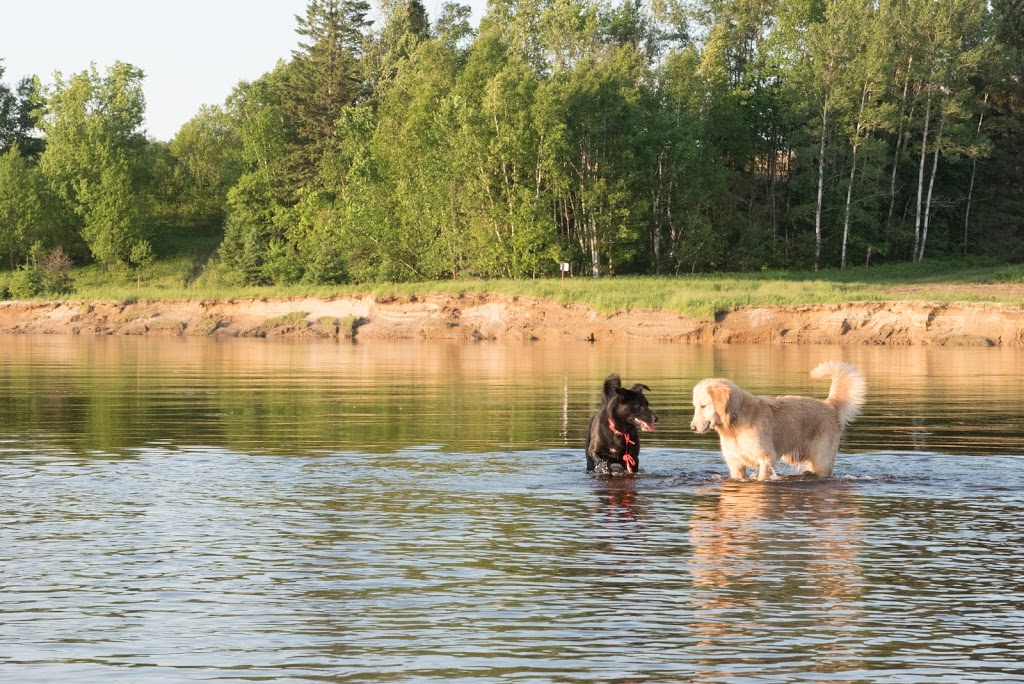 Camping Domaine des Cèdres | 60 Chemin du Domaine des Cèdres, Brébeuf, QC J0T 1B0, Canada | Phone: (819) 425-3950