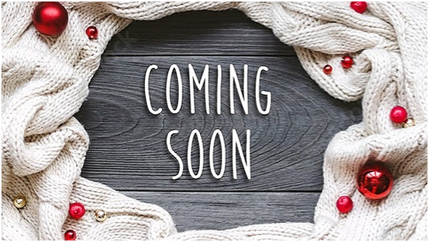Newcastle Pet Supply | 361 King Ave E Unit 2, Newcastle, ON L1B 1H4, Canada | Phone: (289) 314-3229