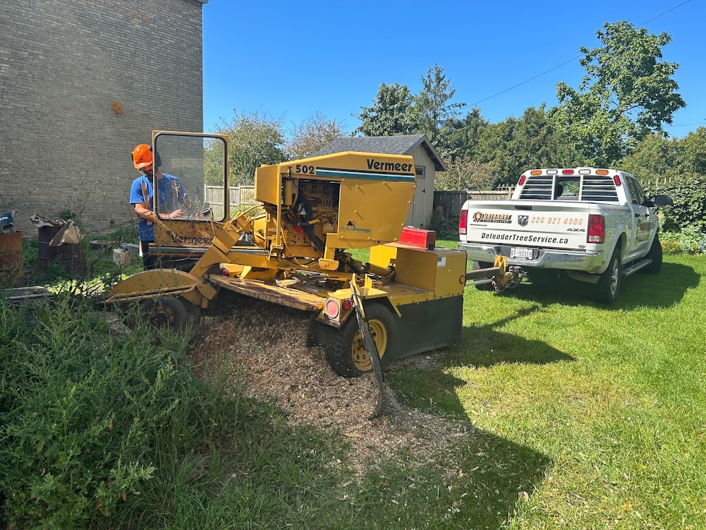 Defender Tree Service Ltd | 40385 Hensall Rd, Hensall, ON N0M 1X0, Canada | Phone: (226) 921-4986