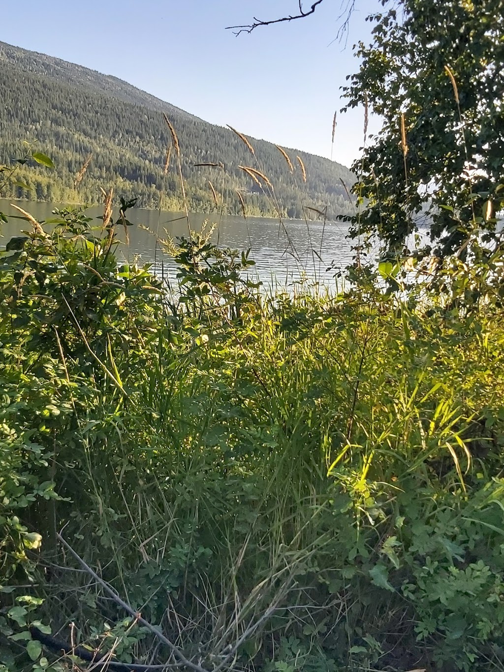 White Lake Provincial Park | Trans Canada Highway, Eagle Bay, BC V0E 1T0, Canada | Phone: (250) 572-5575