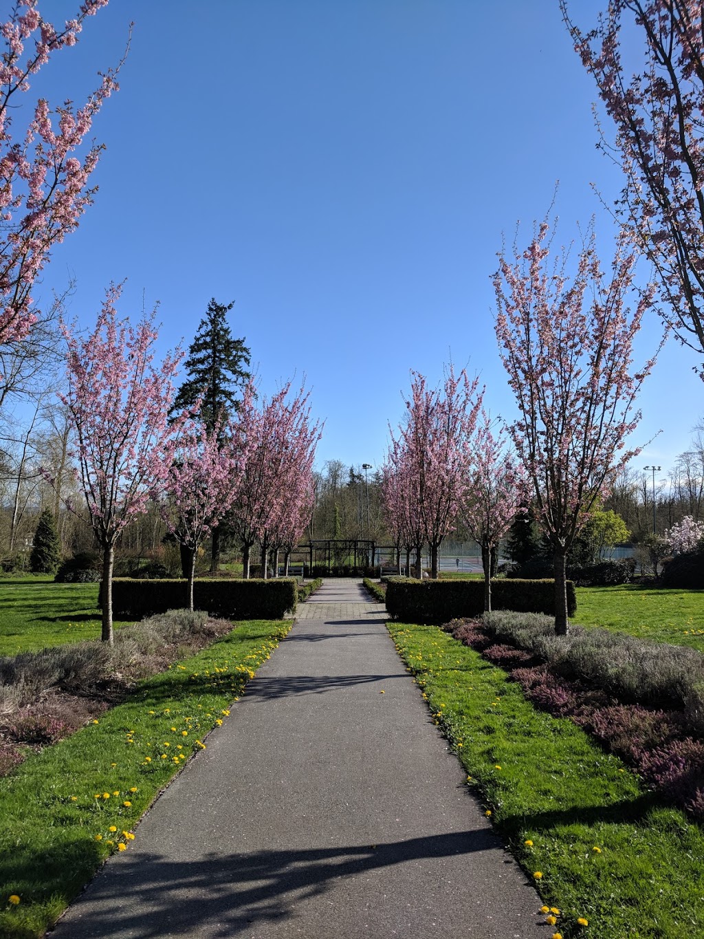 Fleetwood Park | 15802, 15802 80 Ave, Surrey, BC V4N 0T3, Canada | Phone: (604) 501-5050