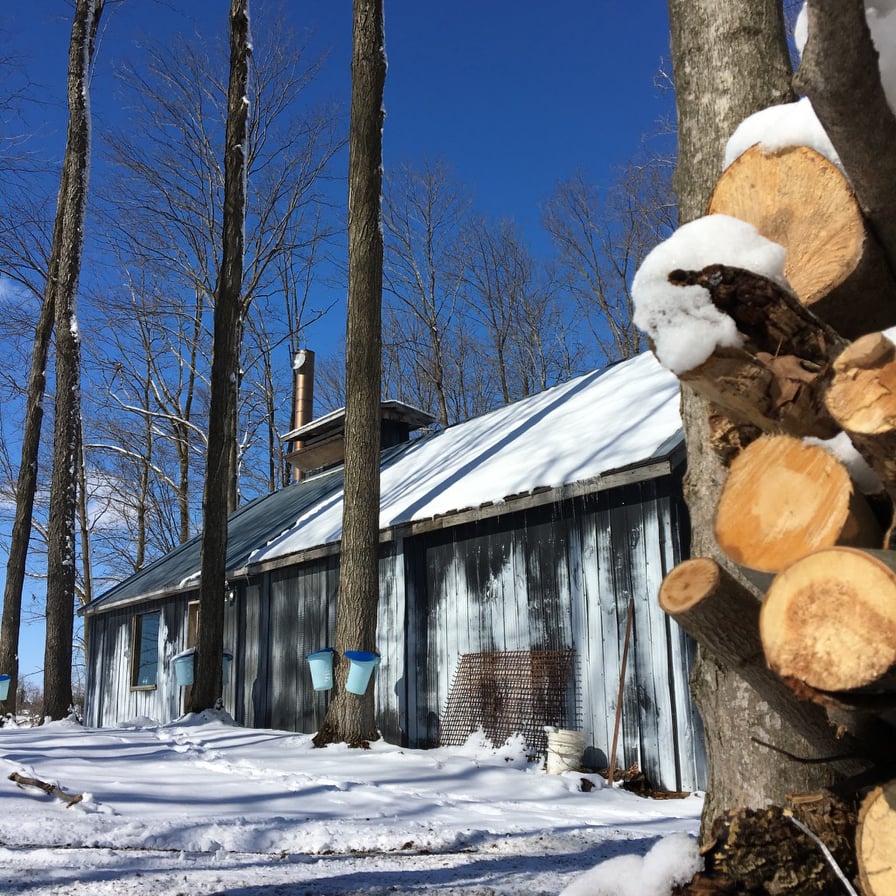 Sand Hills Maple Products | 1090 Manser Rd, Wellesley, ON N0B 2T0, Canada | Phone: (519) 656-3347
