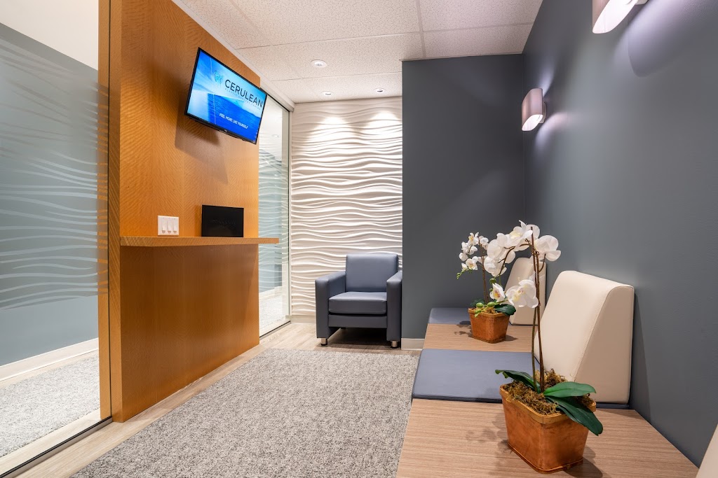 Cerulean Plastic Surgery Centre | 11012 Macleod Trail SE Suite 385, Calgary, AB T2J 6A5, Canada | Phone: (403) 225-2141