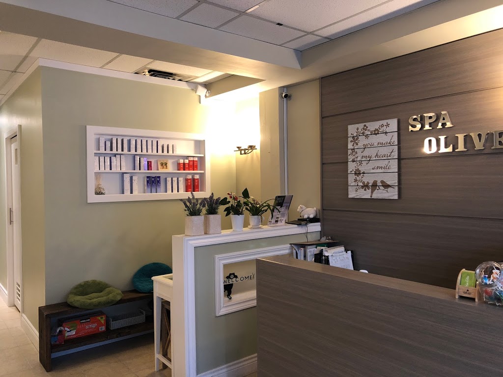 Spa Olive | hair care | 21 Drewry Ave, Toronto, ON M2M 1C9, Canada | 4162250304 OR +1 416-225-0304