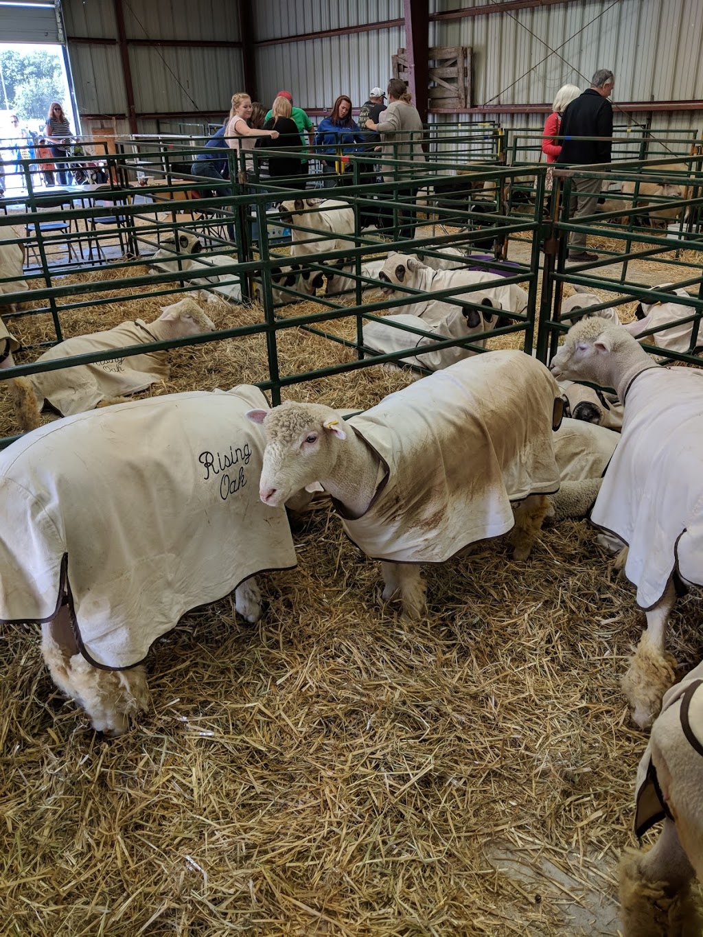 Orillia & District Agricultural Society | 4500 Fairgrounds Rd, Severn, ON L3V 0Y2, Canada | Phone: (705) 325-0353