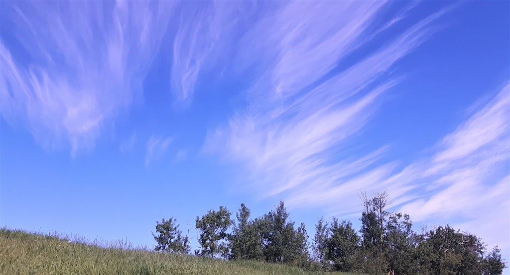 Sandridge Stables | 22335 Township Rd 520, Sherwood Park, AB T8C 1E2, Canada | Phone: (780) 922-7383