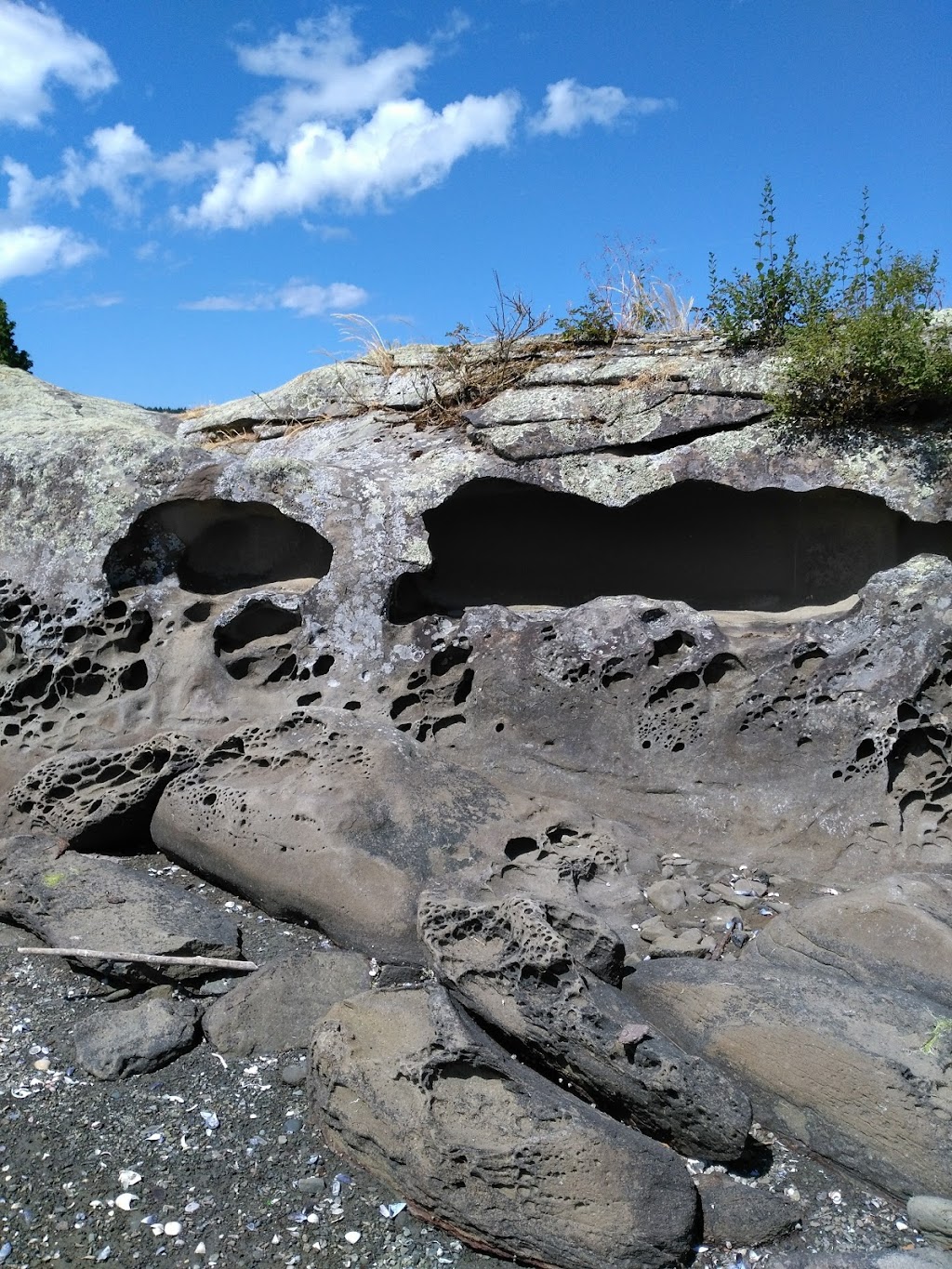 Ladysmith Harbour | Ladysmith, BC V9G 1M9, Canada | Phone: (250) 245-4521
