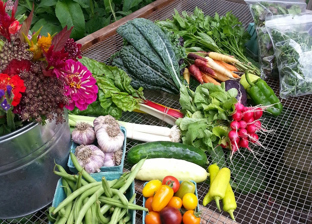 Way To Grow! Gardens | 1145 Dunmaglass Rd, Merigomish, NS B0K 1G0, Canada | Phone: (647) 520-6872