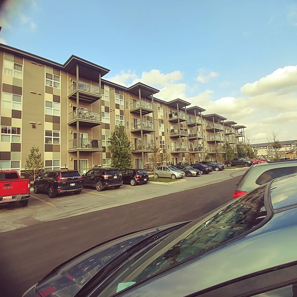 Element Townhome Rentals | 85 Fiorentino St, Winnipeg, MB R3W 0M1, Canada | Phone: (204) 415-6669