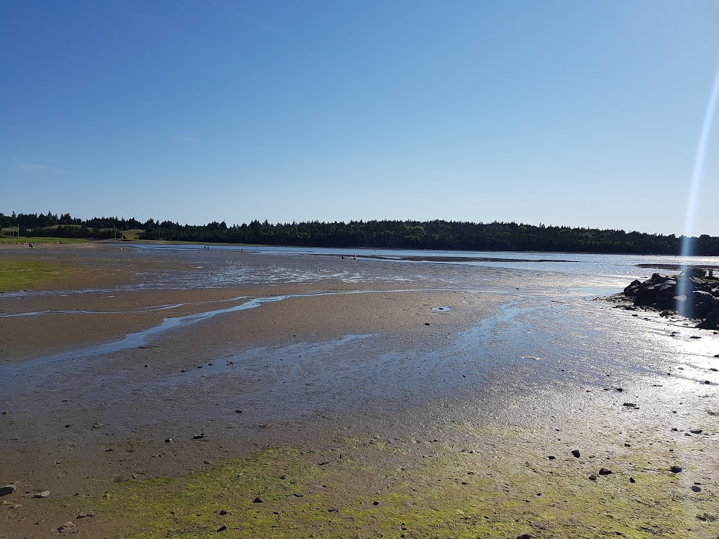A&M Sea Charters | 87 Government Wharf Rd, Eastern Passage, NS B3G, Canada | Phone: (902) 465-6617