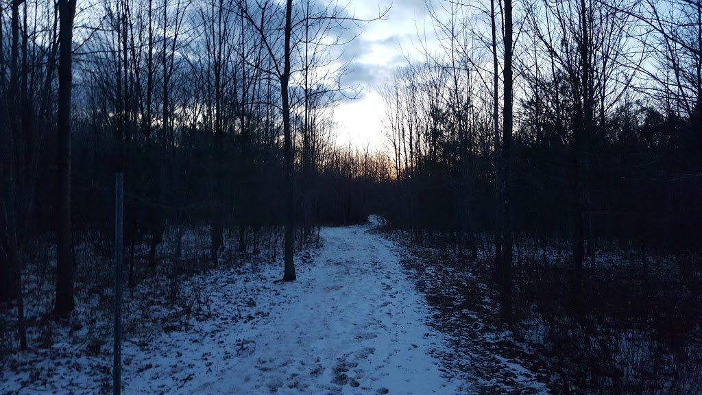 Harold S Bradshaw Memorial Park | 510-590 Chantler Rd, Welland, ON L3B 5N8, Canada
