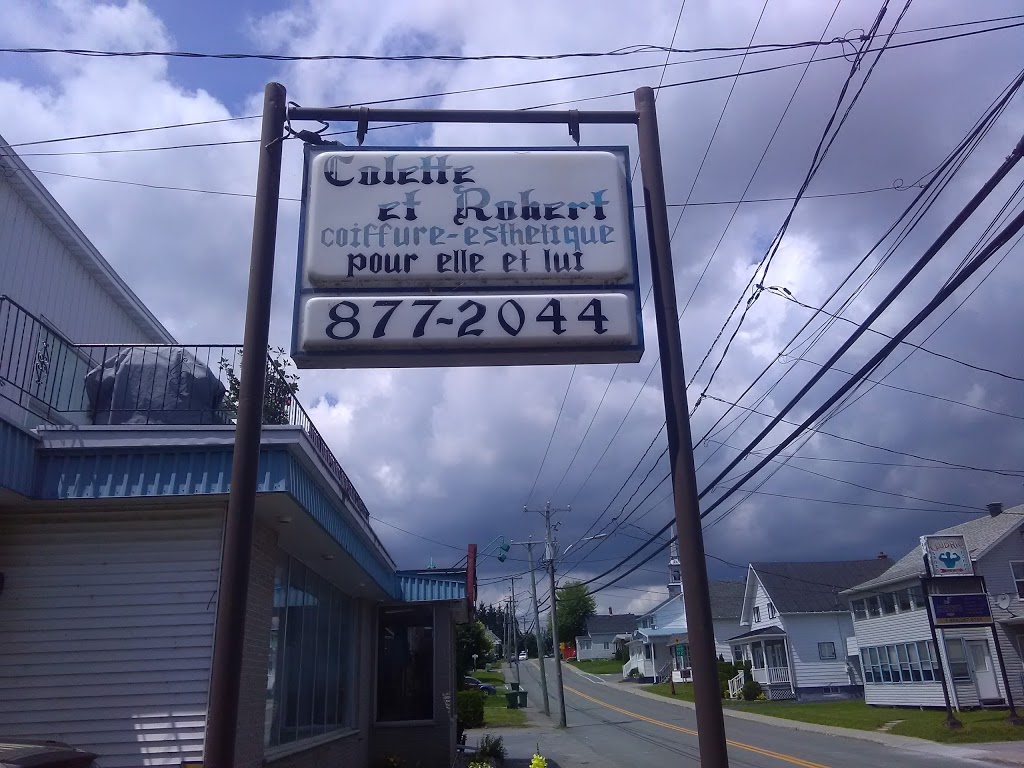 Salon Colette & Robert | 342 Rue Saint Janvier, Weedon, QC J0B 3J0, Canada | Phone: (819) 877-2044