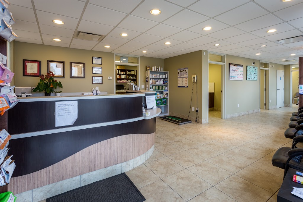 Billings Bridge Animal Hospital | 1220 Rooneys Ln, Ottawa, ON K1H 1C2, Canada | Phone: (613) 737-5007
