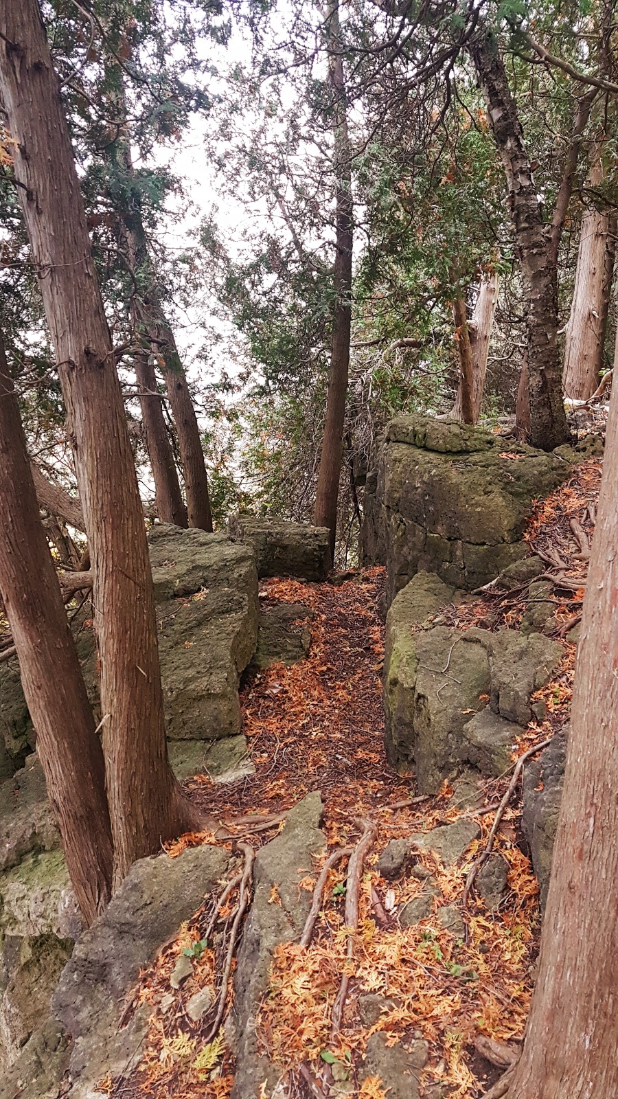 Mount Nemo Lookout | 4409 Side Rd 2, Burlington, ON L7R 3X4, Canada | Phone: (905) 319-2408