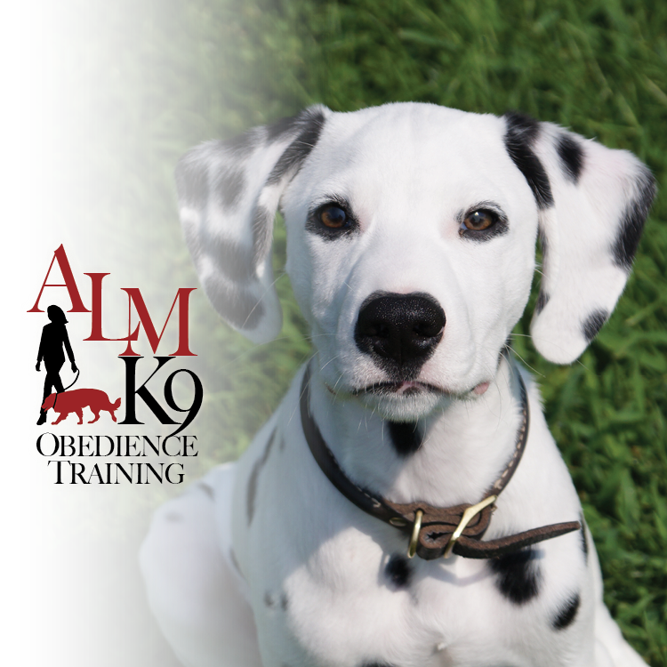 ALM K9 | 1369 Trent River Rd, Havelock, ON K0L 1Z0, Canada | Phone: (705) 933-4548