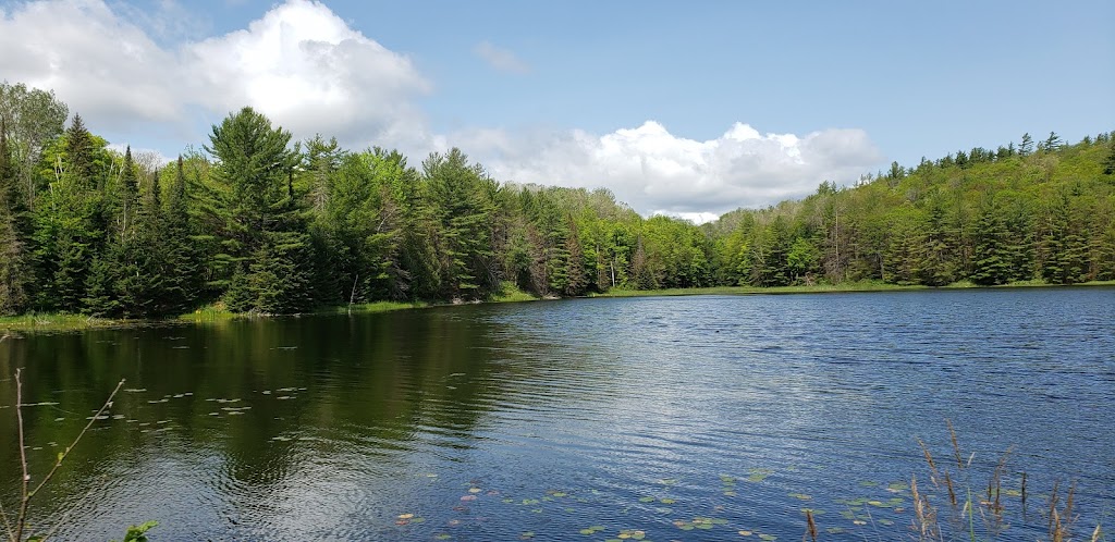 Tom Irwin Adventure Tours | 636 Mill St Unit 2, Calabogie, ON K0J 1H0, Canada | Phone: (613) 362-2670