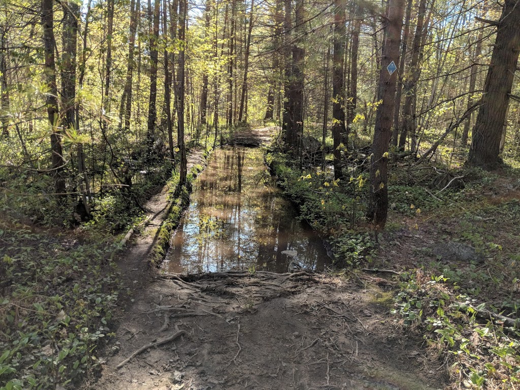 Old Stone Road Trail | 1576-, 1626 N Muldrew Lake Rd, Gravenhurst, ON P1P 1R2, Canada