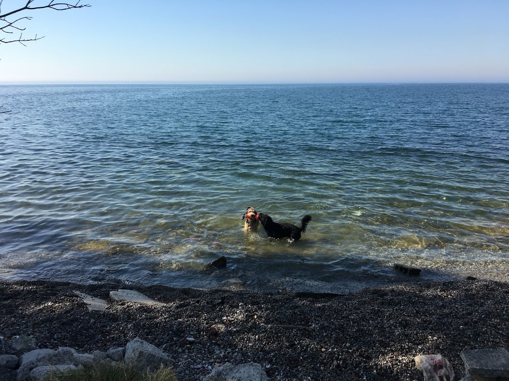 Humber Bay Park West Dog Park | 2225 Lake Shore Blvd W, Etobicoke, ON M8V 3X7, Canada