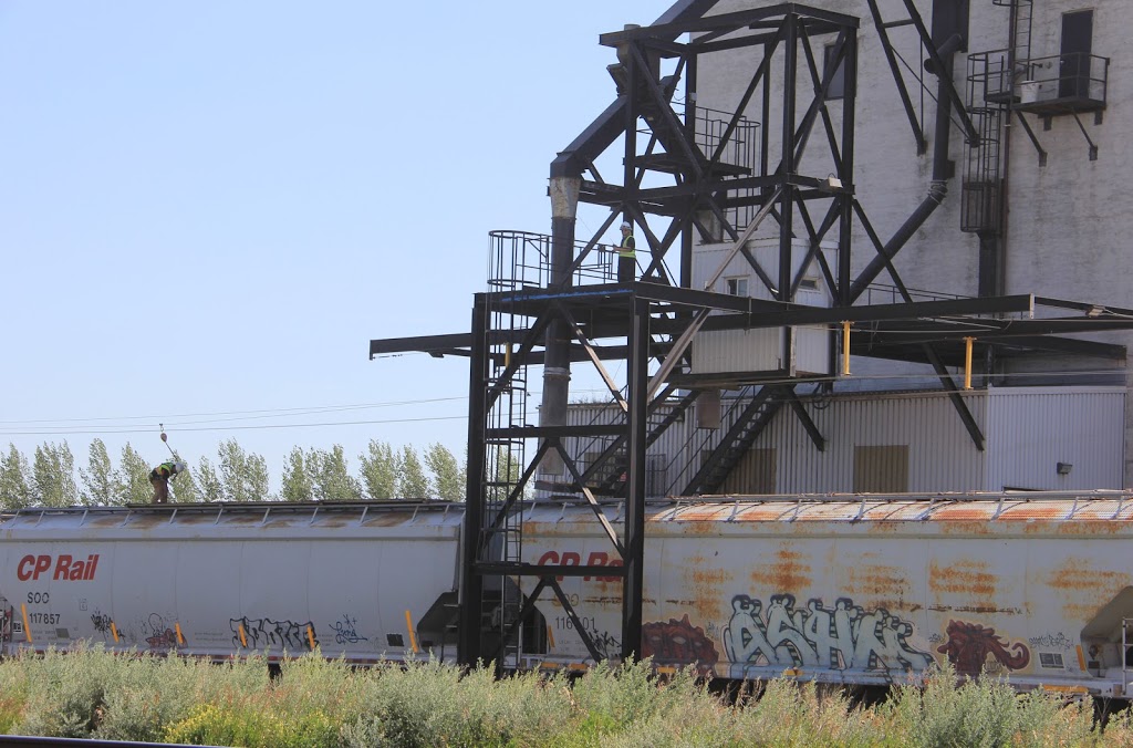 Paterson Grain | 549 Industrial Dr, Indian Head, SK S0G 2K0, Canada | Phone: (306) 695-3744