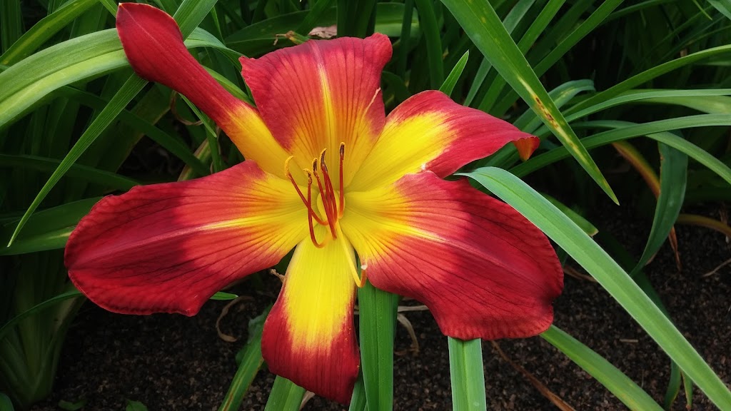 Jardin des Nuances | 441 Rang N, Sainte-Victoire-de-Sorel, QC J0G 1T0, Canada | Phone: (450) 494-3955