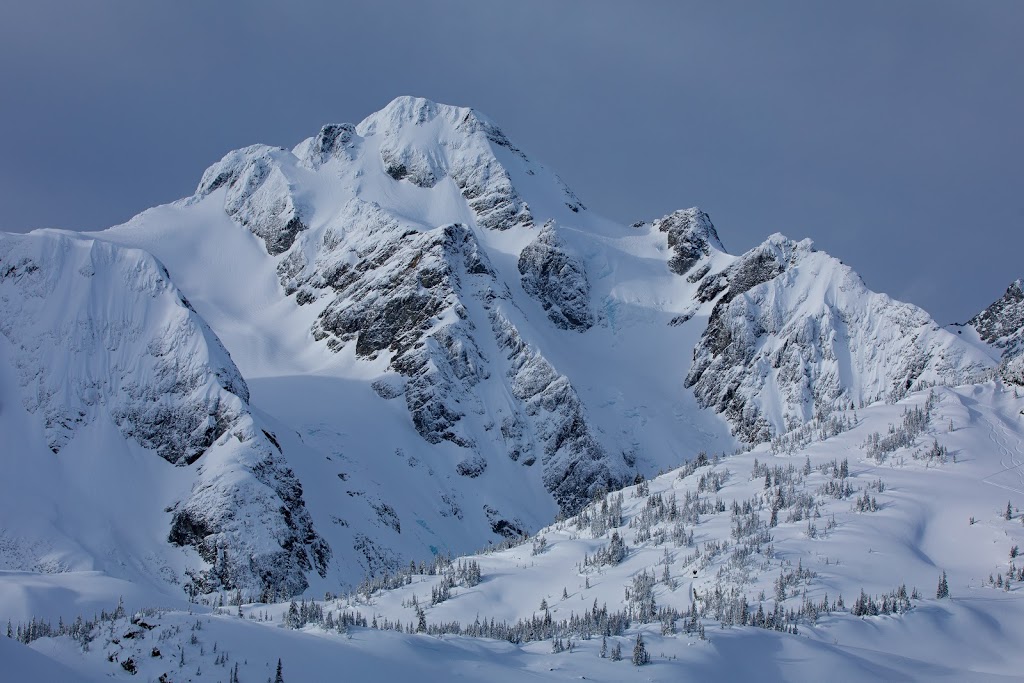 Coast Mountain Cannabis | 7339 Old Mill Rd, Pemberton, BC V0N 2L0, Canada | Phone: (604) 894-9494