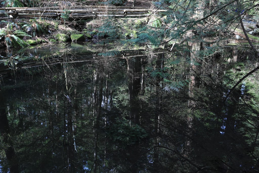Capilano Suspension Bridge Park – Raptors Ridge | Unnamed Road, West Vancouver, BC V7S 1J5, Canada | Phone: (604) 985-7474
