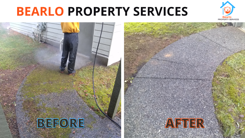 Bearlo Property Services | 4443 Carson St, Burnaby, BC V5J 2Y3, Canada | Phone: (250) 415-8070