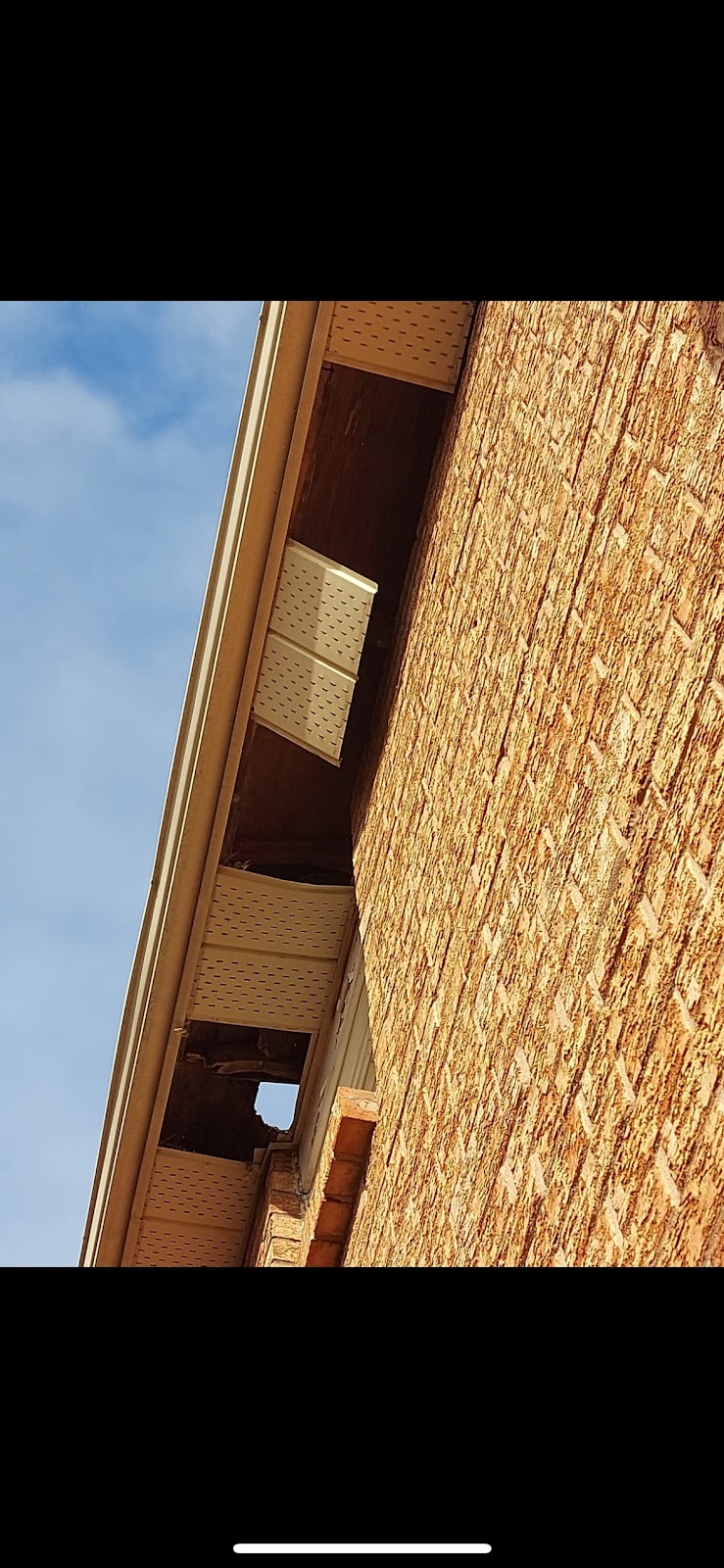 Cover Up Roofing | 15 Edenmills Dr, Scarborough, ON M1E 4L1, Canada | Phone: (647) 500-0903