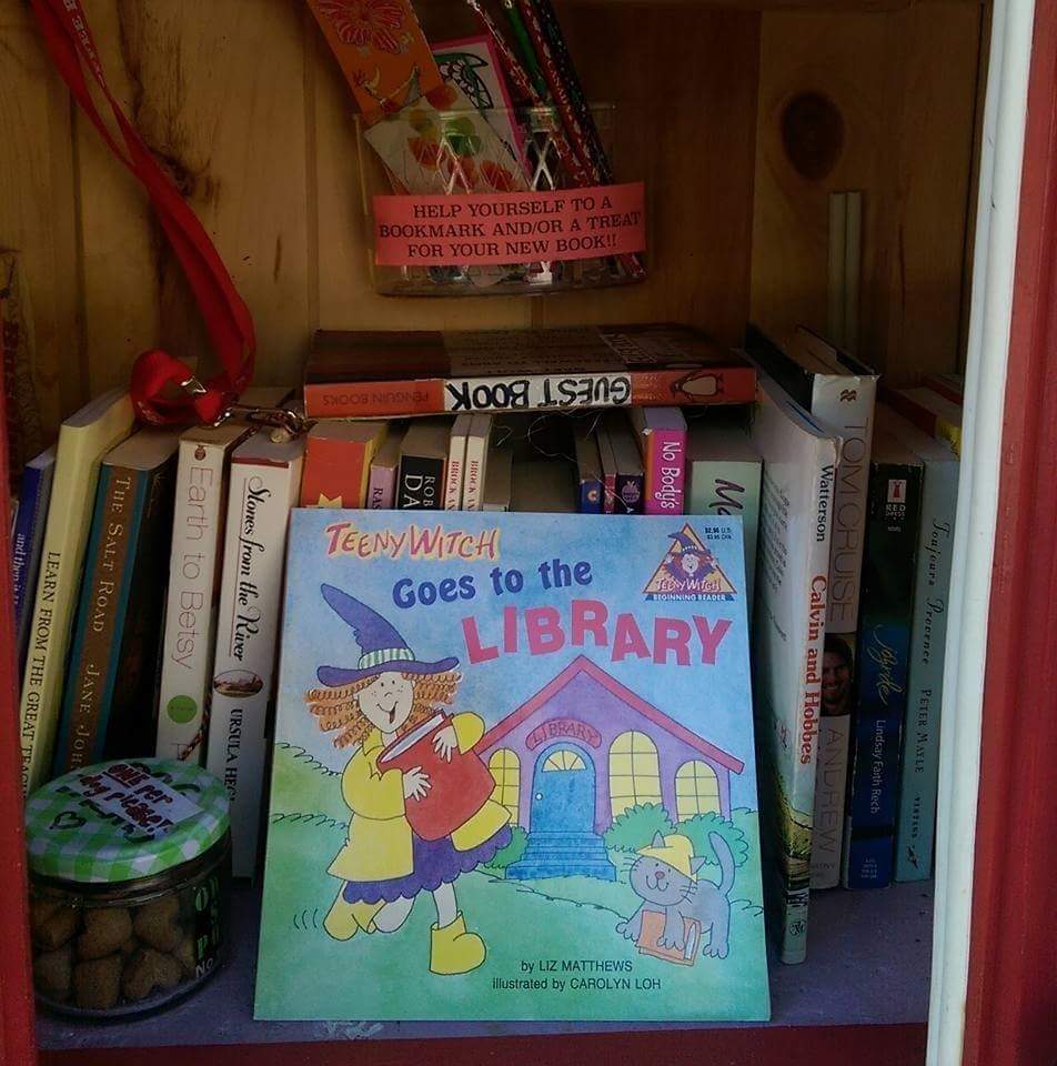 Stanley Little Free Library | 46 Lansdowne Rd S, Cambridge, ON N1S 2T4, Canada