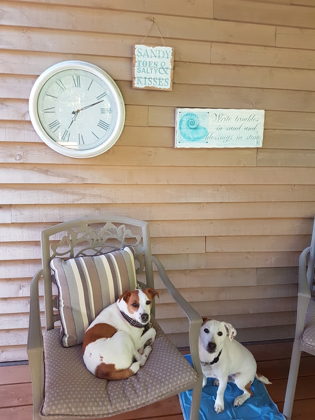 ELFIEs PLACE | 124 Webster Dr, Salt Spring Island, BC V8K 1Y4, Canada | Phone: (250) 653-2447