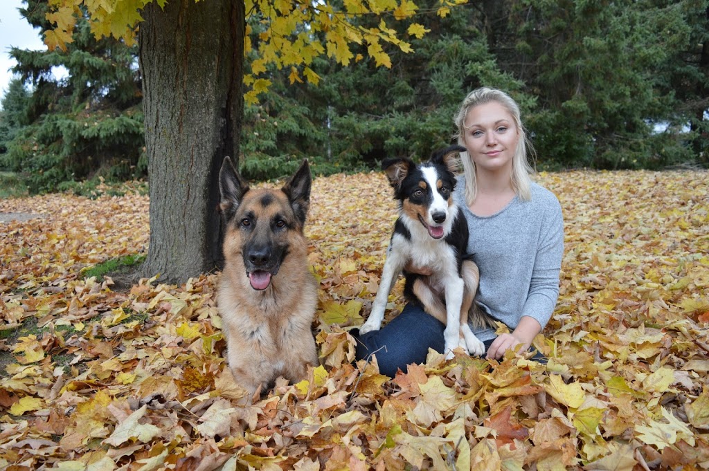 Mayrich Kennels | 8681 Eramosa Garafraxa Townline, Belwood, ON N0B 1J0, Canada | Phone: (519) 803-6366