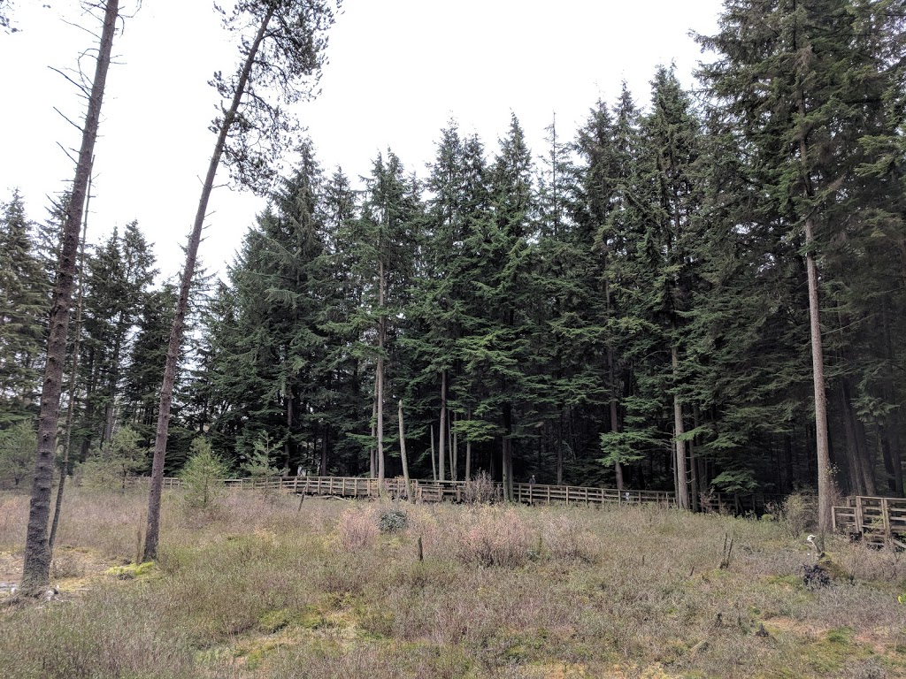 Camosun Park | 4102 W 16th Ave, Vancouver, BC V6R 3E3, Canada | Phone: (604) 873-7000